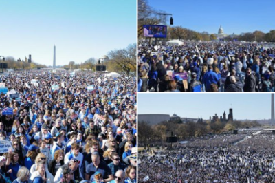 Pro-Izraelská demonstrace ve Washingtonu